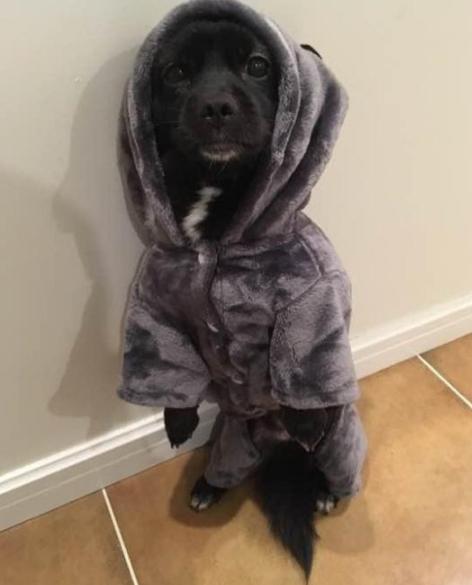 在武汉44个平方装修多少钱,在武汉装修一套90平米的房多少钱