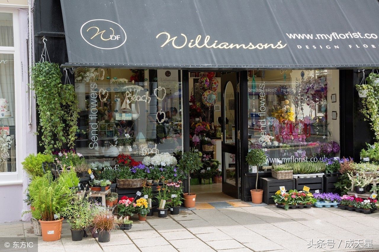 鲜花店怎么开才能赚钱,一个鲜花店一年能盈利多少