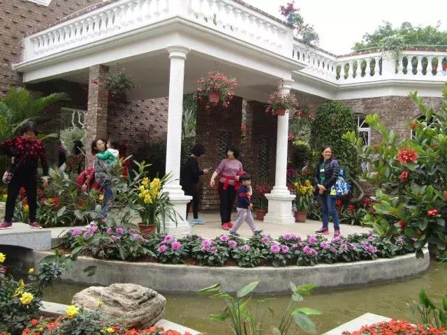 还没看的景点,大夫山最美景色