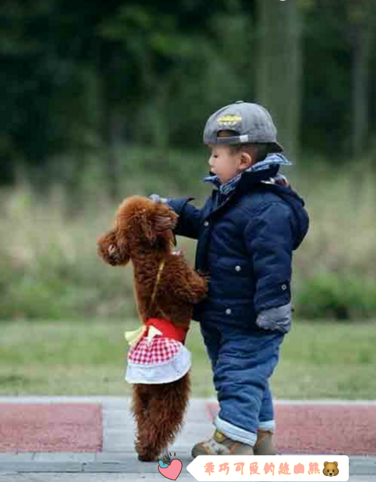 在网上买狗靠不靠谱,网上买狗到底有多坑