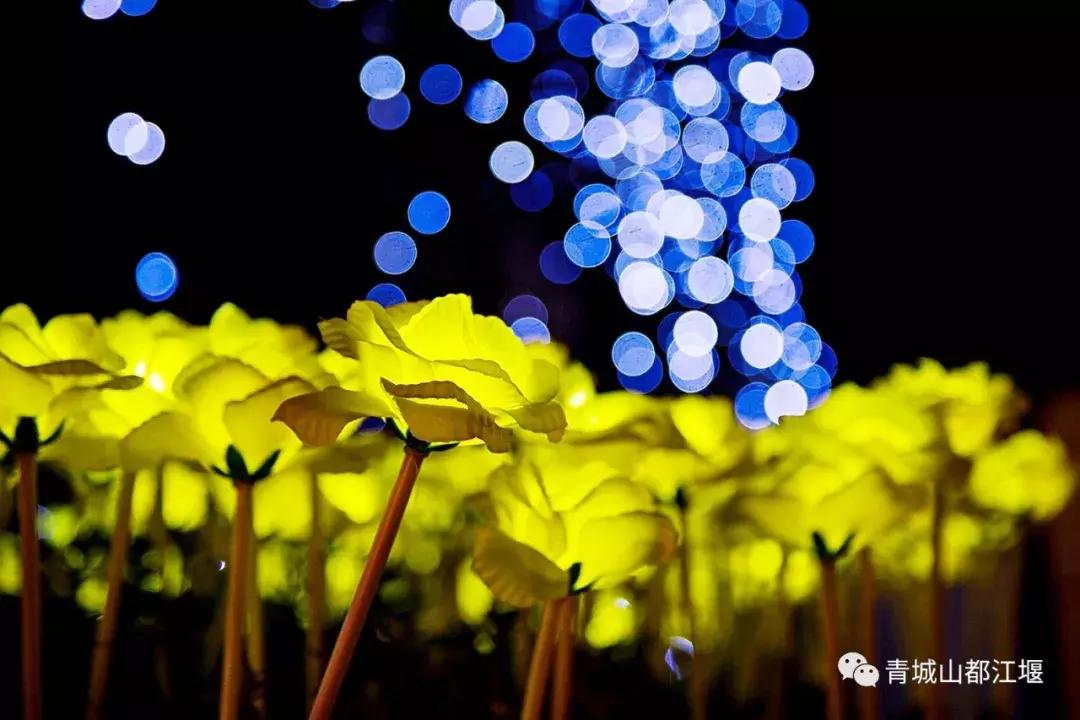 正月十五元宵去哪儿闹?到都江堰来一场美轮美奂的赏灯之旅~凑完这场热闹,年才算过完!