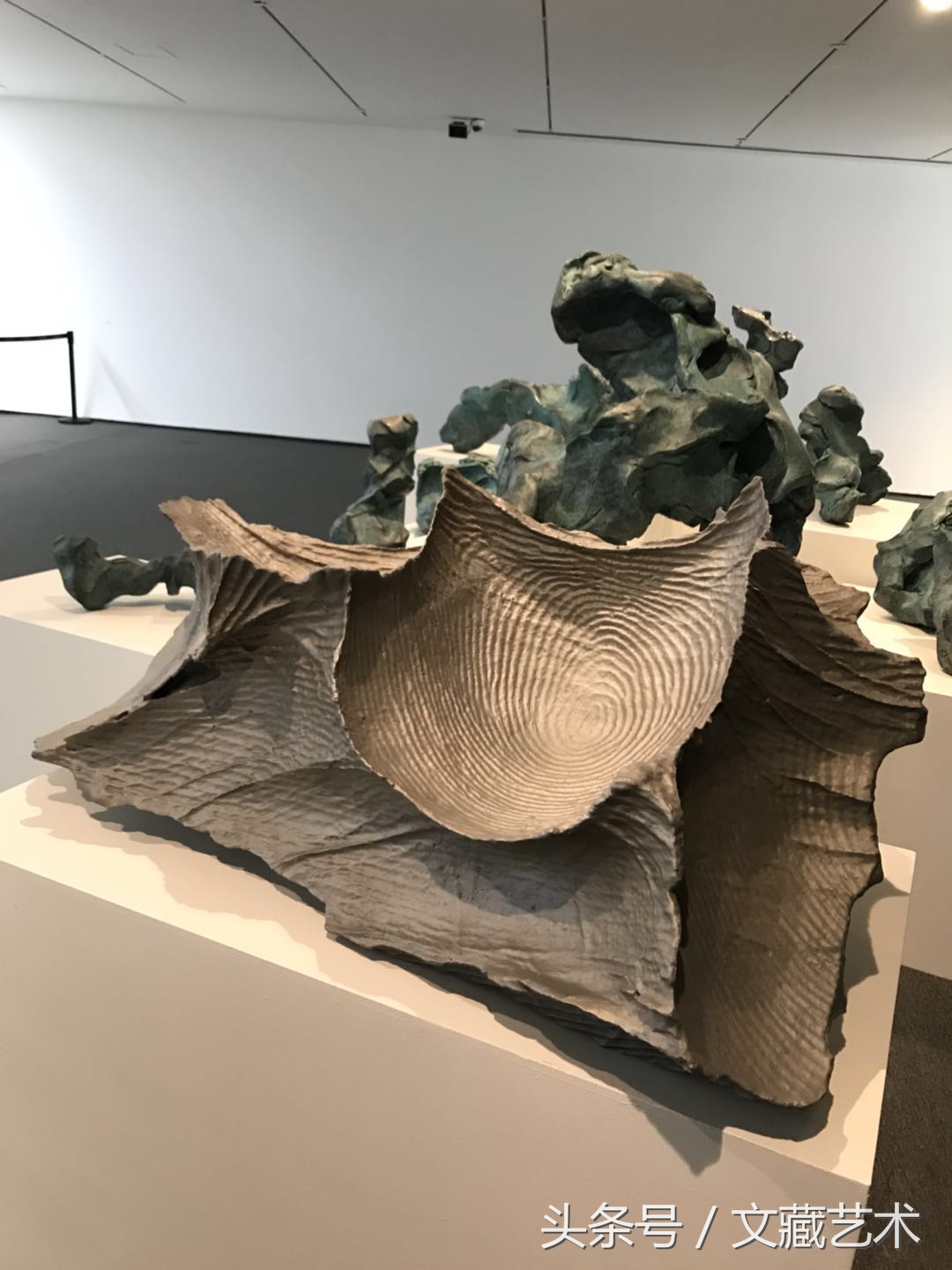 瓒崇悆鎷煎敖鍏ㄥ姏鍗村張鏃犺兘涓哄姏,瓒崇悆鎷煎敖鍏ㄥ姏鐩村埌鏃犺兘涓哄姏