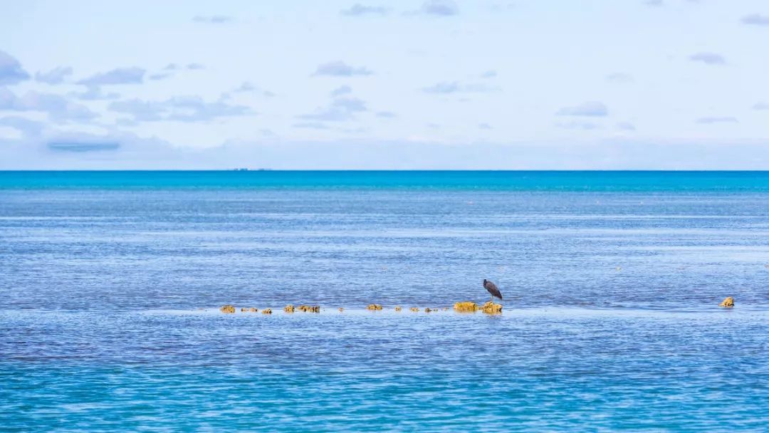 适合一个人去的9个小众旅行地,80个特色旅游活动