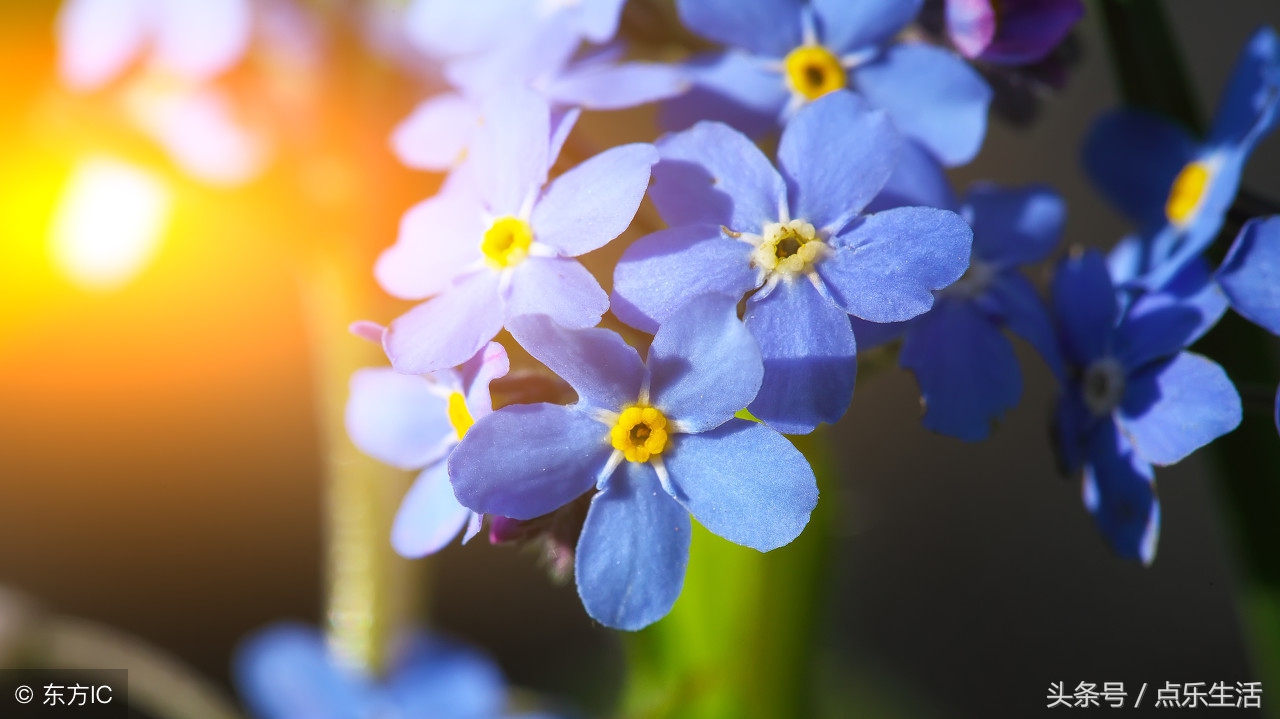 如何对待亲人爱人,如何对待恩人和朋友