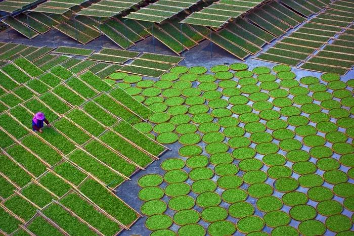 2018年全球华人摄影十杰,中国第18届国际摄影展入围作品