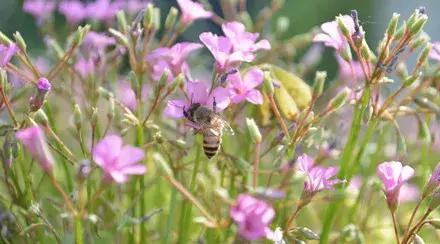 高中重点英语短语归纳总结,高中重点英语短语归纳