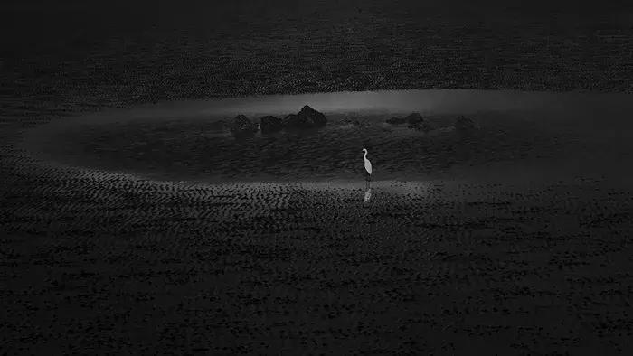 2018年全球华人摄影十杰,中国第18届国际摄影展入围作品