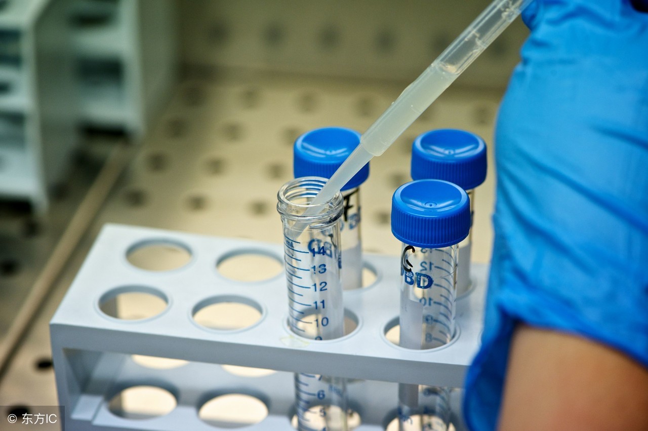 试管怀孕6周,一代试管婴儿胚胎的形成全过程