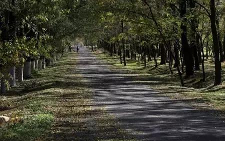 北京各区16处免费森林公园,北京最新40个公园