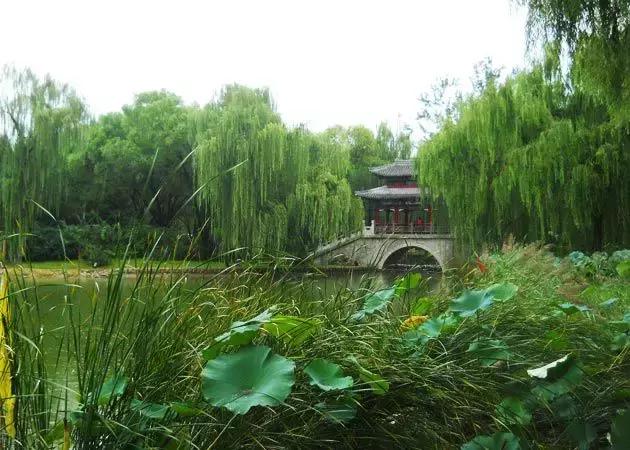 北京各区16处免费森林公园,森林公园北京有几个