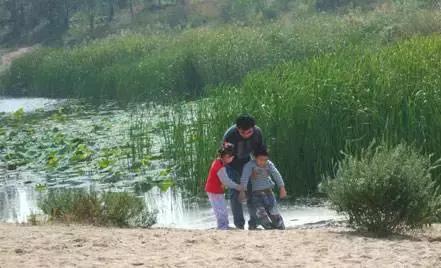 北京这38个森林公园您都去吗？先收藏了，有空咱们玩个遍！