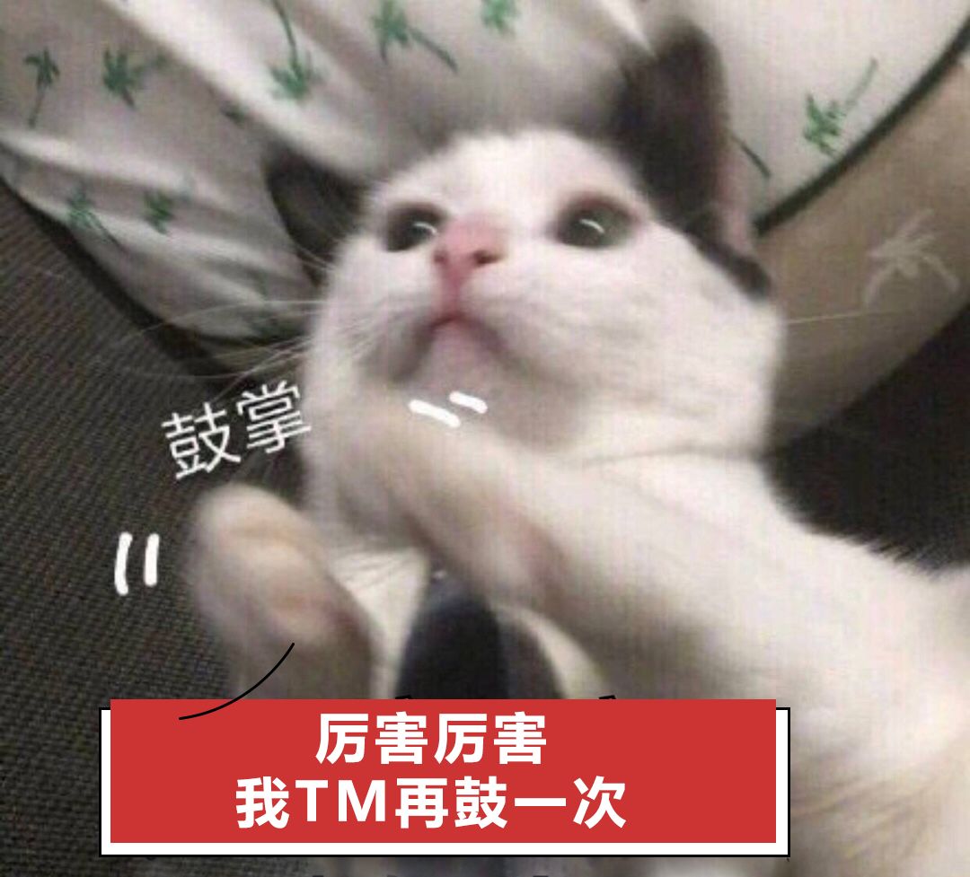 怎么跟喜欢的人表白表情包,表白撩人表情包合集确认过眼神