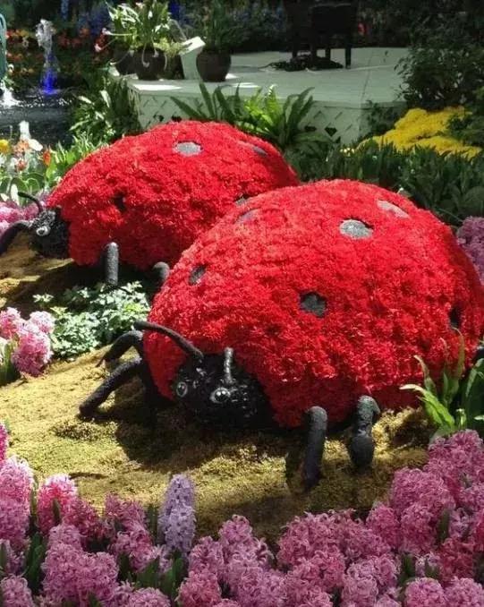 11月4，有群的都看看，太美了，这一辈子见一次值了！