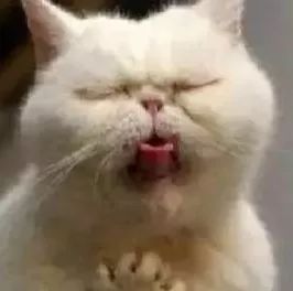 香港护肤彩妆品牌排行前十,盘点年度美妆榜单里的最佳款