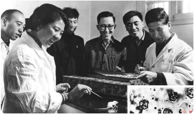 中国对外宣传疗效好的十三种中药,中药在外国有多火