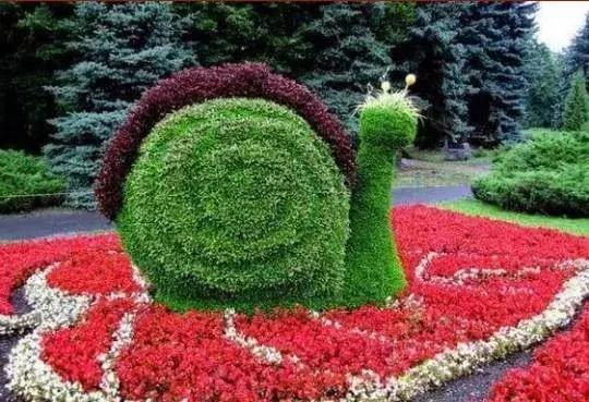 11月4,有群的都看看,太美了,这一辈子见一次值了!