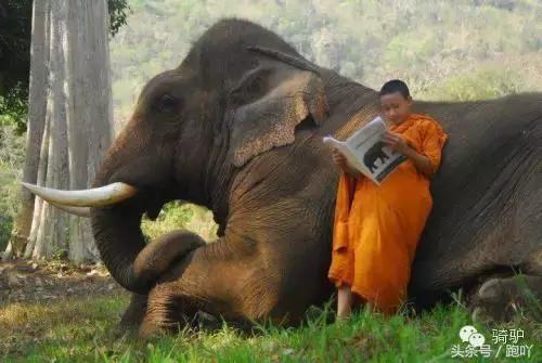 这10大东南亚“免签”仙境，月薪5K轻松走起，光看图已醉！