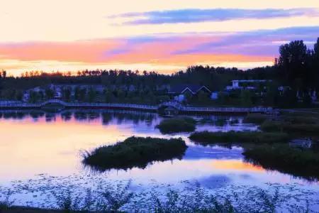 北京各区16处免费森林公园,森林公园北京有几个