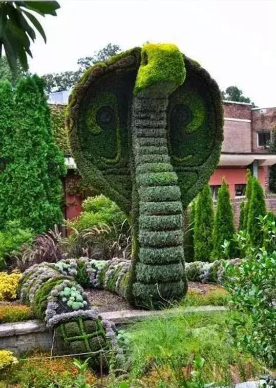 刚出的群主相册,有群的都看看,太美了,这一辈子见一次值了!