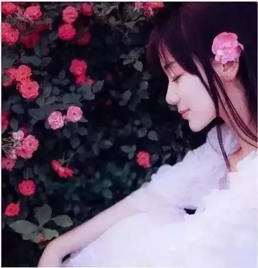 2023年人像摄影摆姿和构图书籍,人像摄影构图方法及技巧