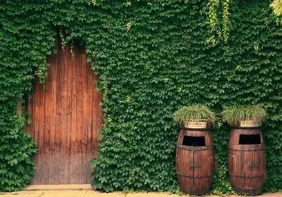 成都垃圾桶造型,垃圾桶创意改造