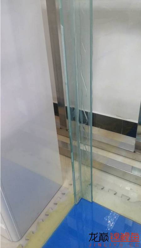 粘锦鲤地缸教程,鱼友锦鲤地缸