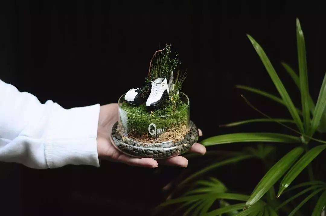 球鞋在Quest潮爆|陈冠希、KevinPoon就指定要买他的“草”