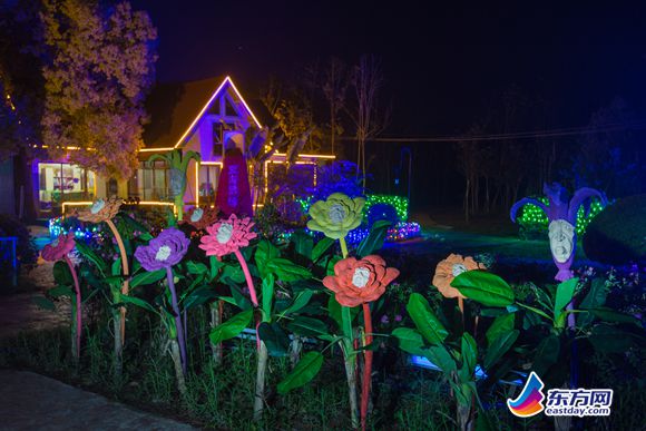 上海崇明岛薰衣草几月开,崇明薰衣草节旅游攻略