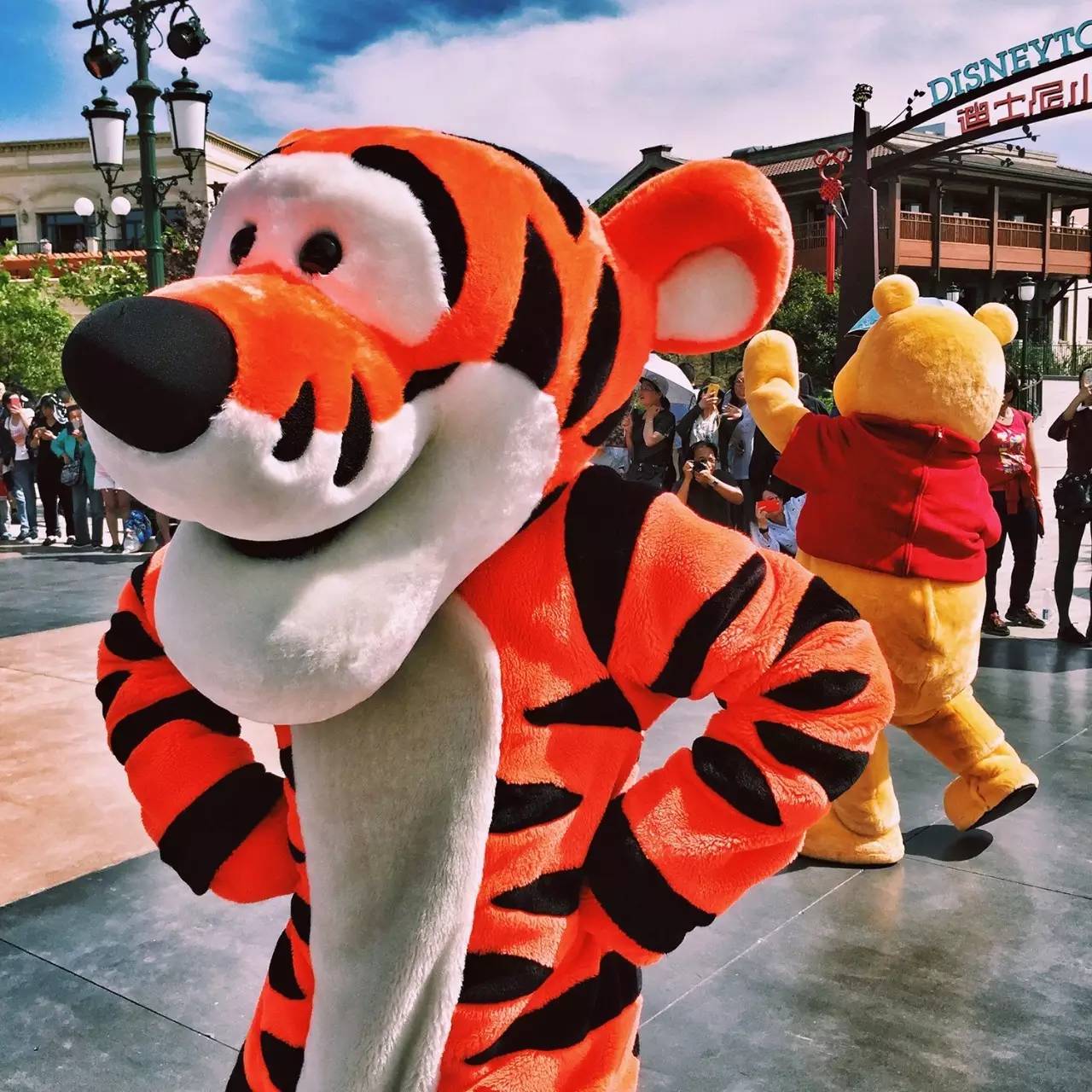 Low逼狗带|仙女仙眼里的上海迪士尼~