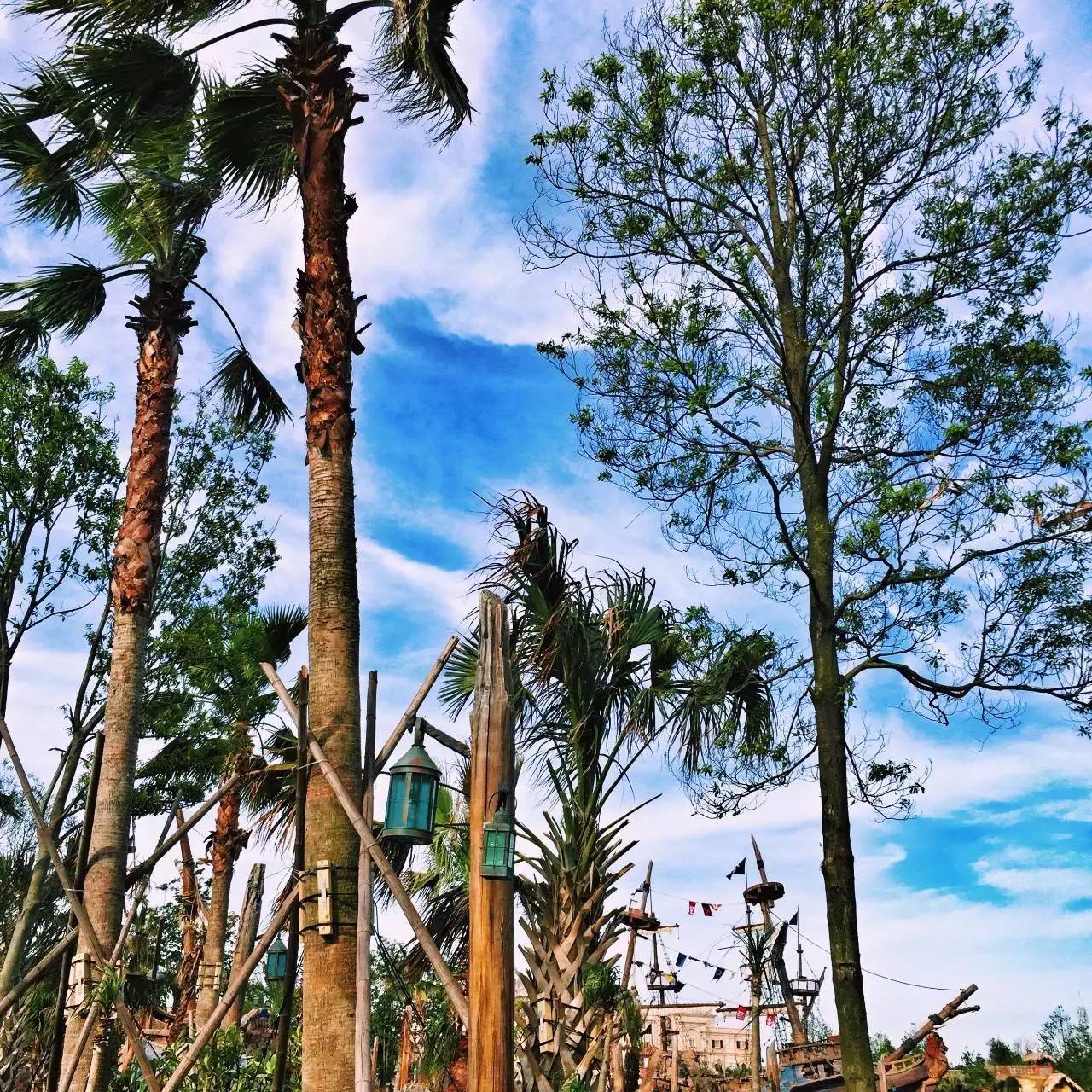 Low逼狗带|仙女仙眼里的上海迪士尼~