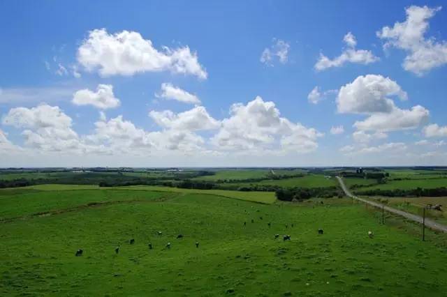brutus日本杂志,brutus是什么杂志