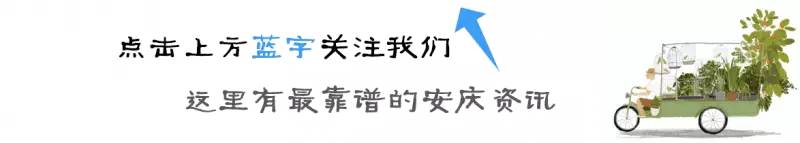 霍建华如何向林心如表白,霍建华520表白林心如