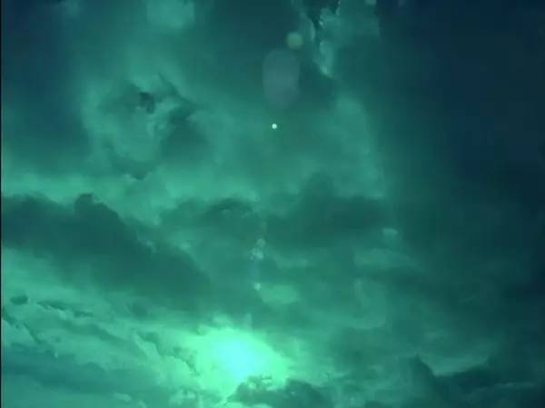 十三年前的金棕榈，房间里的大象