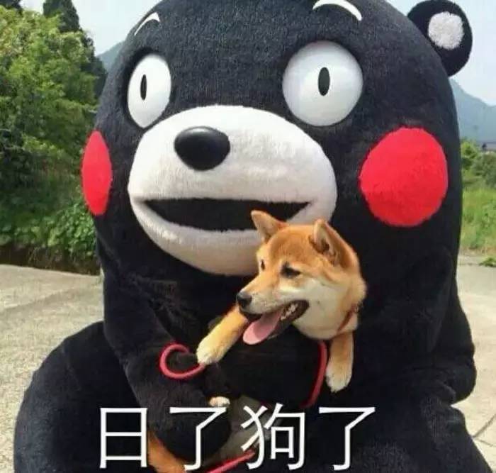 在国外护照丢了会被遣送吗,在国外如果护照丢了怎么办