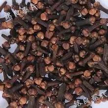 普及中药知识点,丁香中药记忆口诀