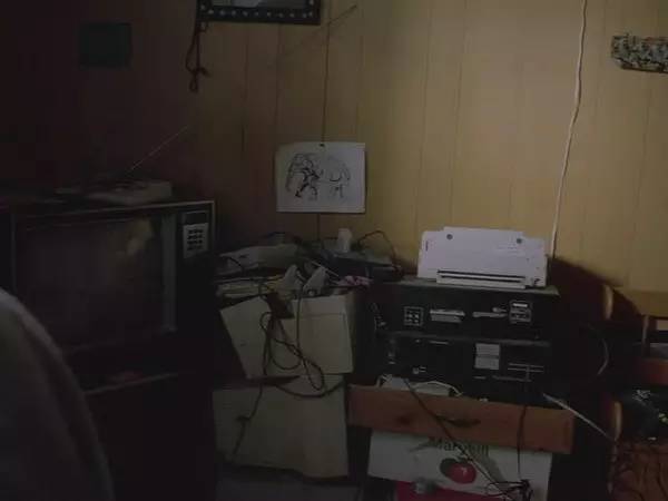 十三年前的金棕榈，房间里的大象