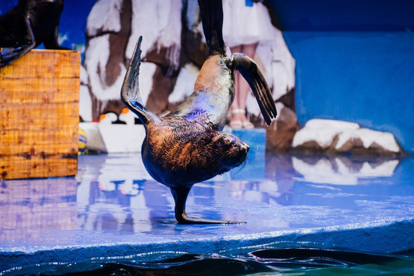 2022春天重庆周边亲子游玩的地方 (重庆周边亲子游2-3天冬季)