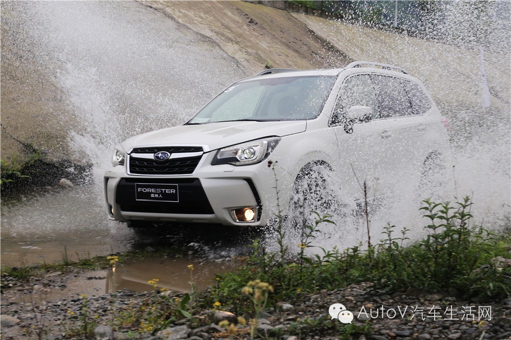 2.5斯巴鲁森林人耐造性测试,斯巴鲁森林人2.5测评