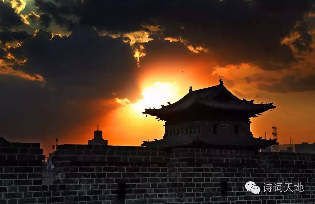 一山一水皆有情一草一木都是诗,一山一水皆美景一草一木皆有情