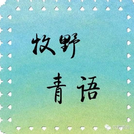 两会青关注,青关注