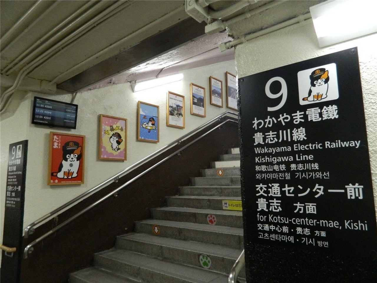 百万级帖主的“再度进击”|西日本，你不该错过这些