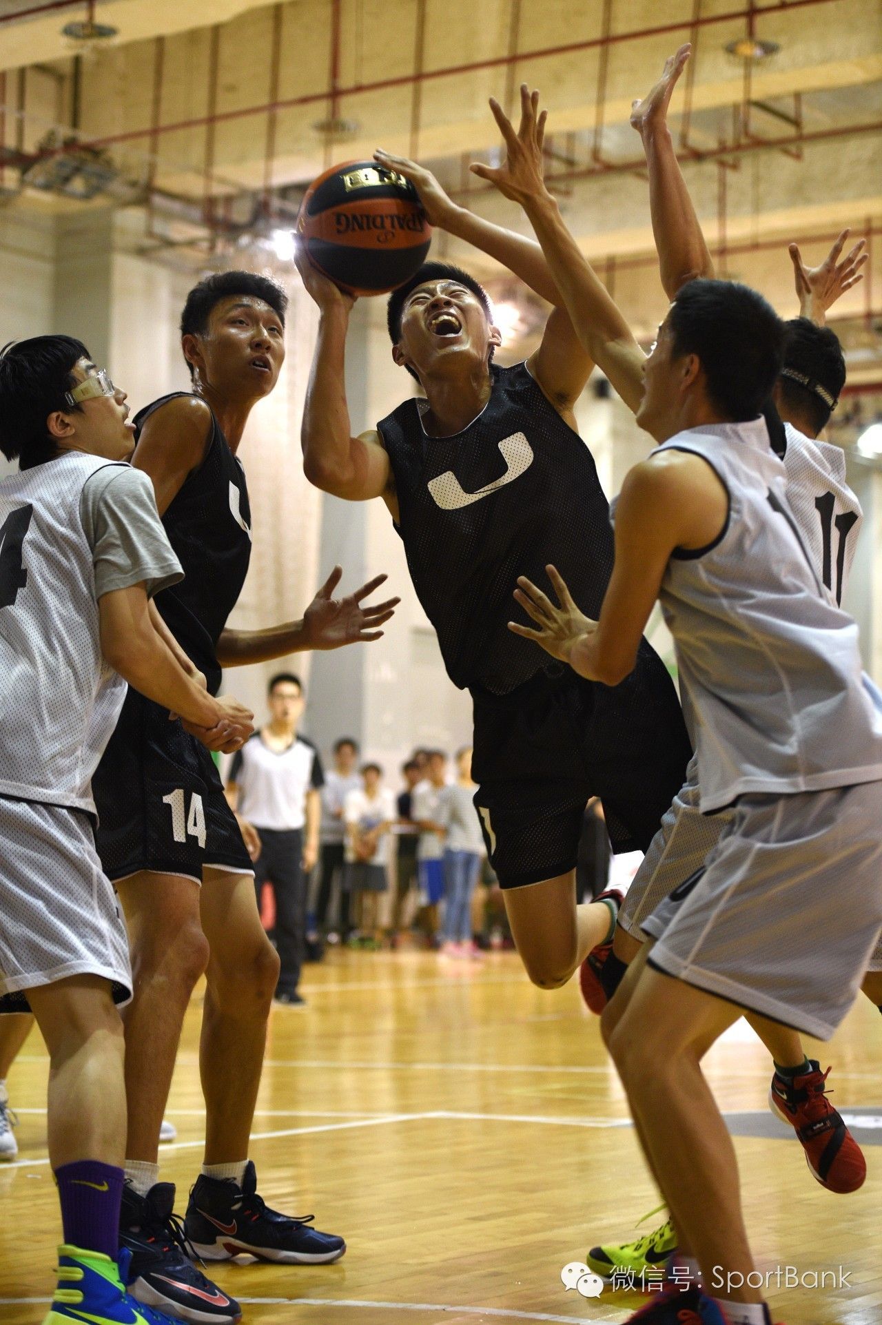 杨旺直播间,杨旺体坛风云