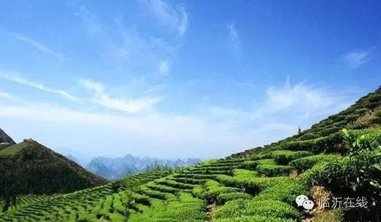 请不要听说临沂，请听临沂说......