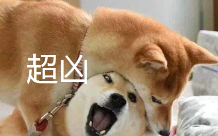 sli总决赛夺冠,sli绝地求生全球群星联赛