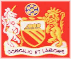 豪门队徽演变史,豪门俱乐部队徽