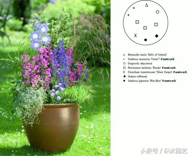 园艺插花容器,容器家庭园艺