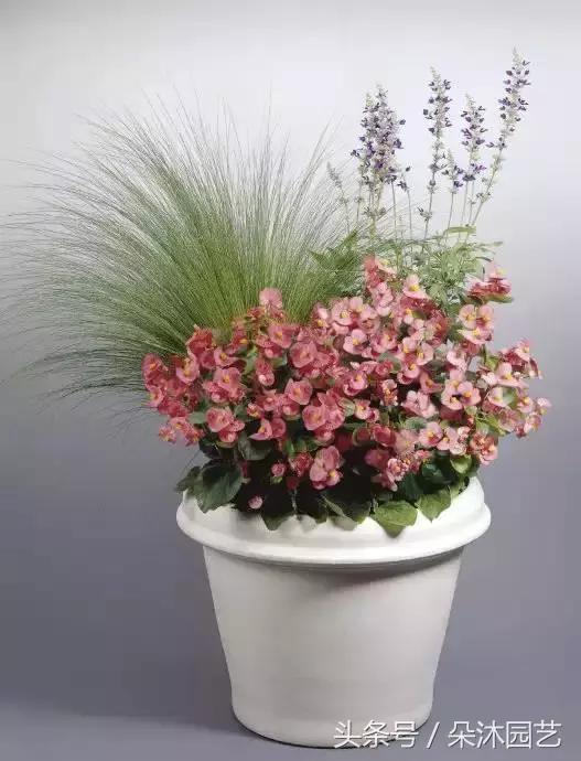 园艺插花容器,容器家庭园艺