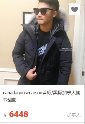 神奇！浙大教授造“北极熊”马甲，成功从红外线成像设备中隐身