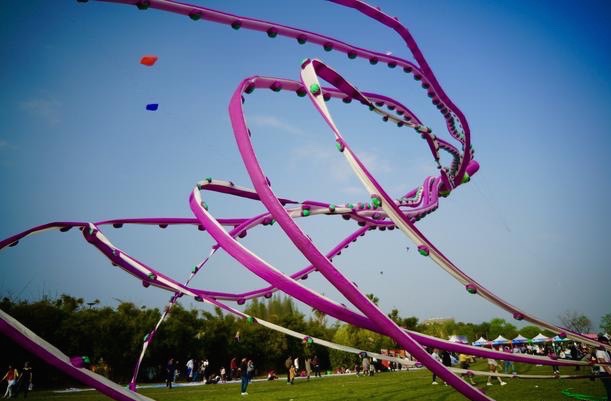 温州三八节免费景点,三八节好玩的地方温州