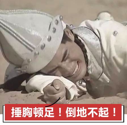 老外最常用的单词,外国人常说的100个中国词